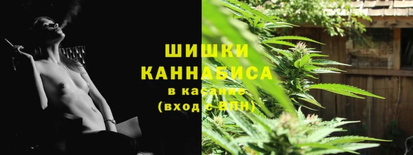 ПСИЛОЦИБИНОВЫЕ ГРИБЫ Алзамай