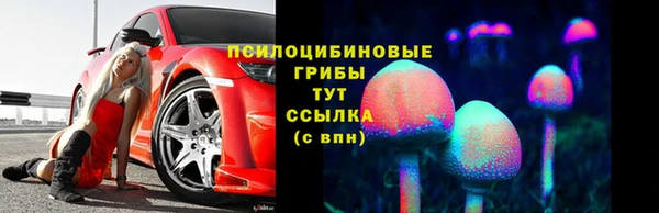 ПСИЛОЦИБИНОВЫЕ ГРИБЫ Алзамай