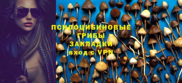 мескалин Алексин