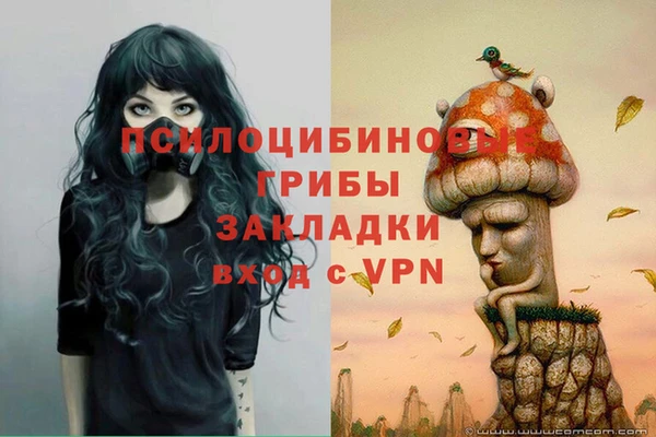 ПСИЛОЦИБИНОВЫЕ ГРИБЫ Алзамай