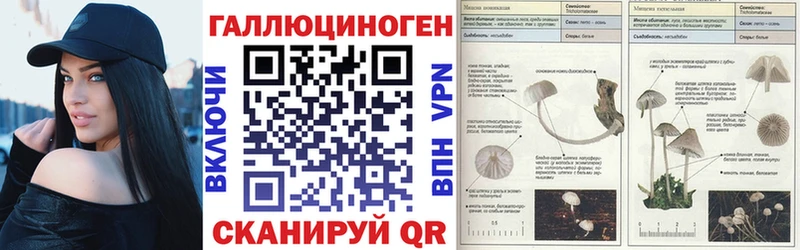 Псилоцибиновые грибы мицелий наркошоп Макушино